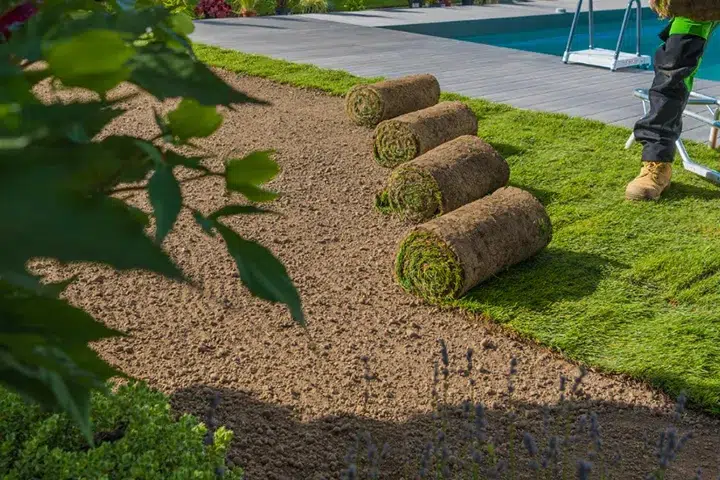 Property-Maintenance-Lawn Restoration