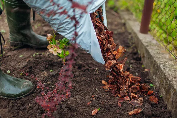 Property-Maintenance-Mulching