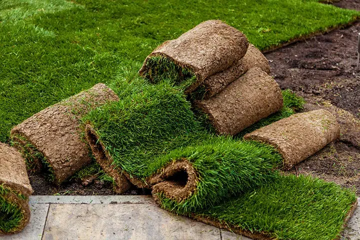 Property-Maintenance-New Lawn Installation