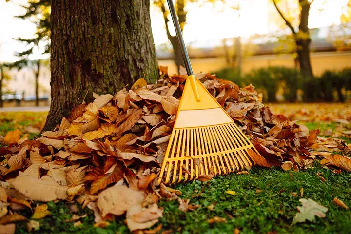 Property-Maintenance-Spring_Fall Clean-Ups