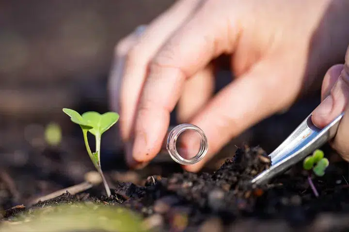 Property-Maintenance-Weeding