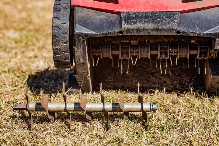 lawn aeration services