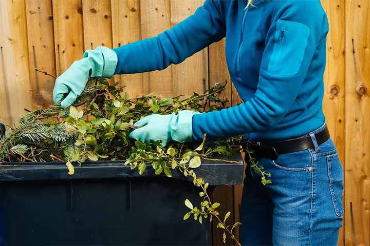 Debris and Branch Removal