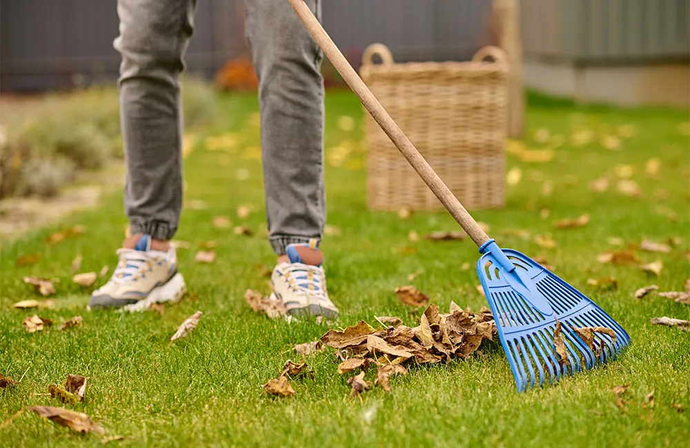 Seasonal Lawn Maintenance