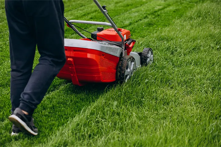 Lawn Mowing and Edging