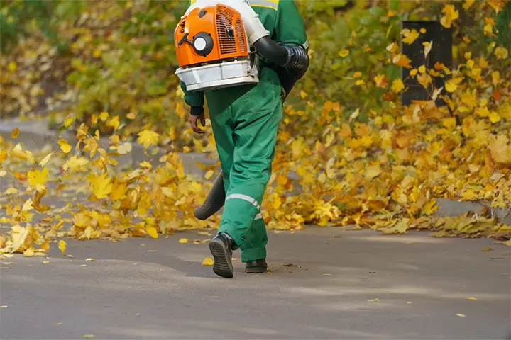 Leaf Removal and Raking