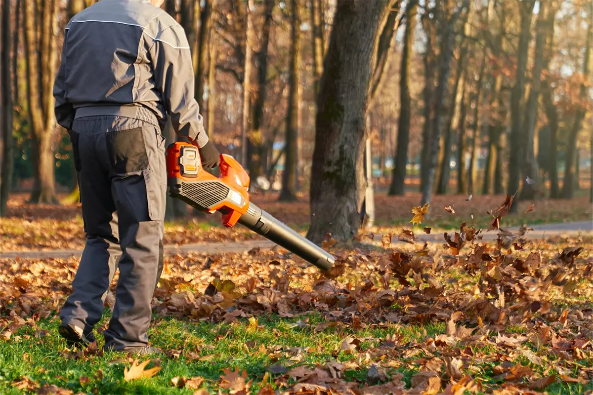 Professional Spring and Fall Cleanup Services in CT