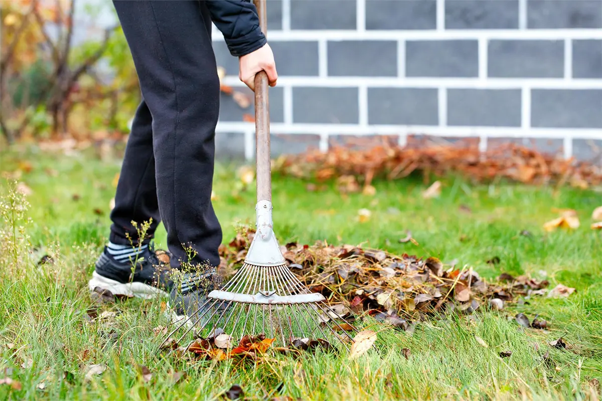 Professional Spring and Fall Cleanup Services Trumbull