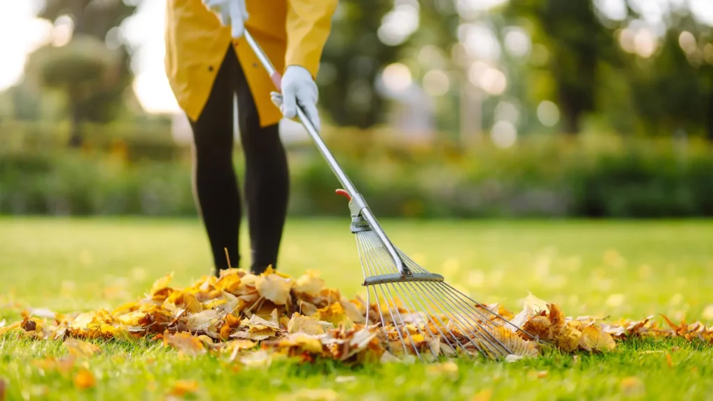 Spring and Fall Cleanup Services