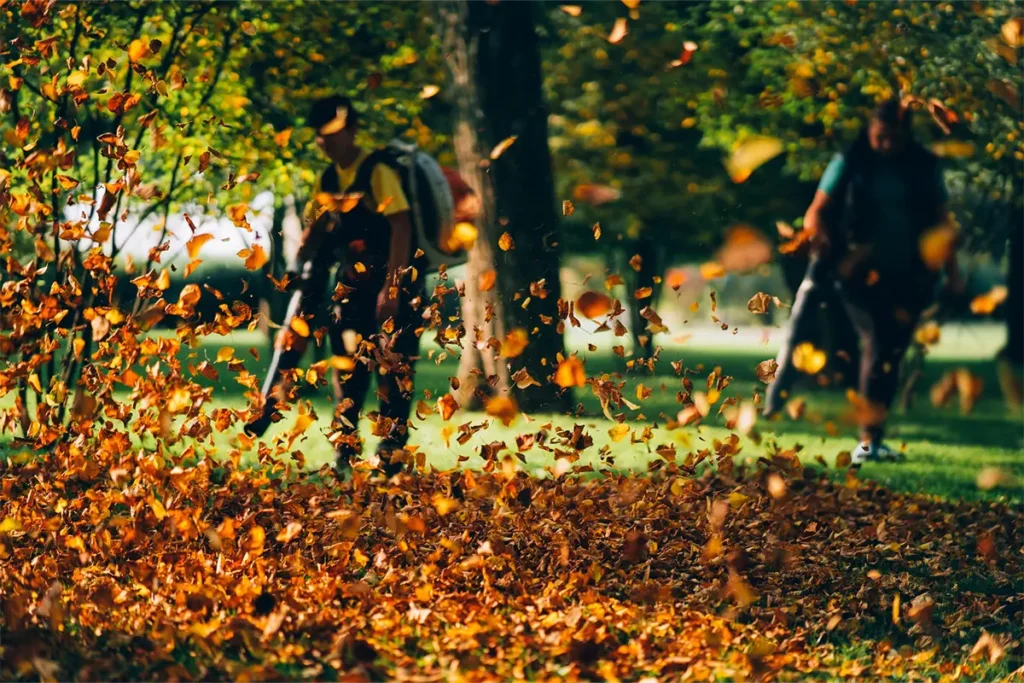 Spring & Fall Cleanup Services in Trumbull, CT
