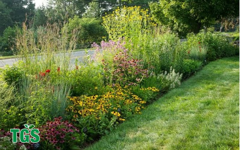 Dwarf and Native CT Plants for Small Spaces