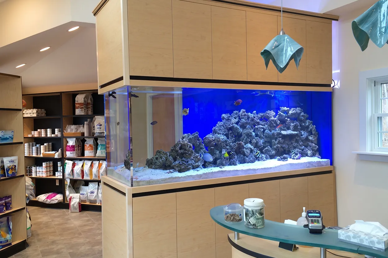 Aquarium-Equipment-Service