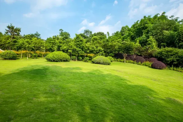 tgs landscaping services in Trumbull